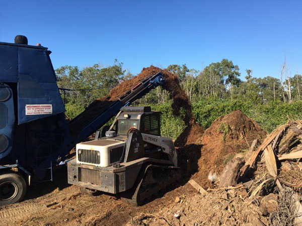 Tree Removal Glenview